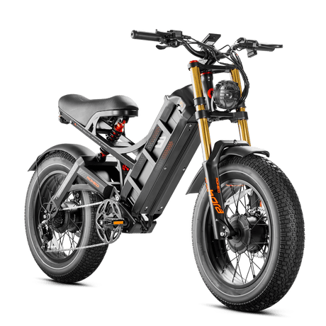 Eahora Romeo II Bicicletta Elettrica Eahora