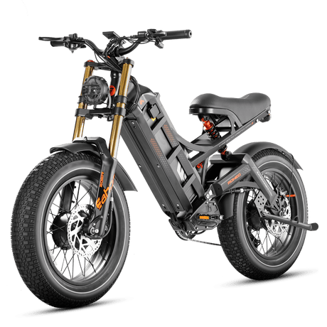 Eahora Romeo II Bicicletta Elettrica Eahora