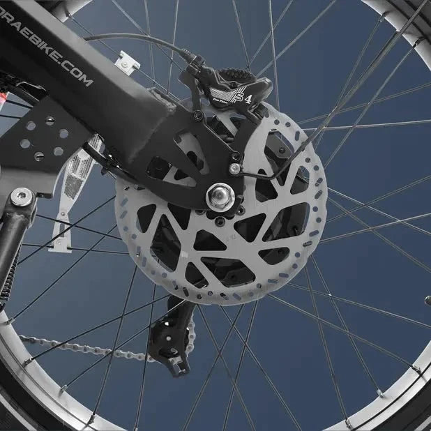 Eahora Romeo Pro Bicicletta Elettrica Eahora