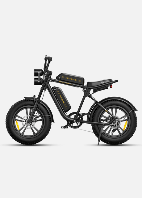 ENGWE M20 Bicicletta Elettrica - ottobest.it