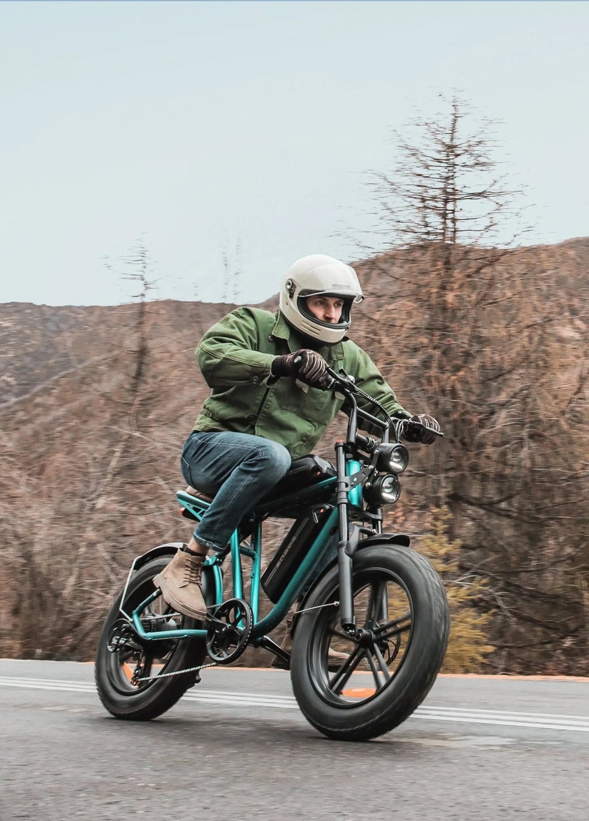 ENGWE M20 Bicicletta Elettrica - ottobest.it