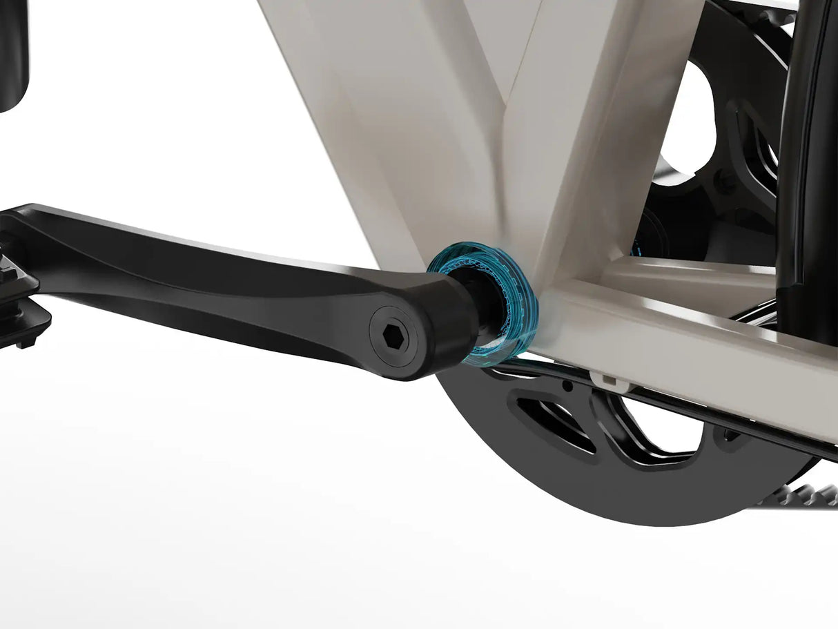 JOBOBIKE Dyno GT Bicicletta Elettrica con Cintura in Carbonio