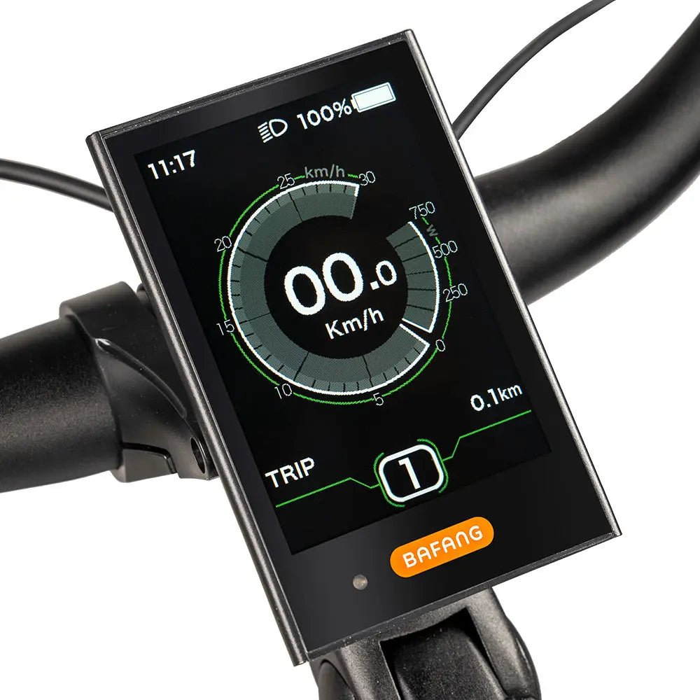 JOBOBIKE Linda Bicicletta Elettrica - ottobest.it