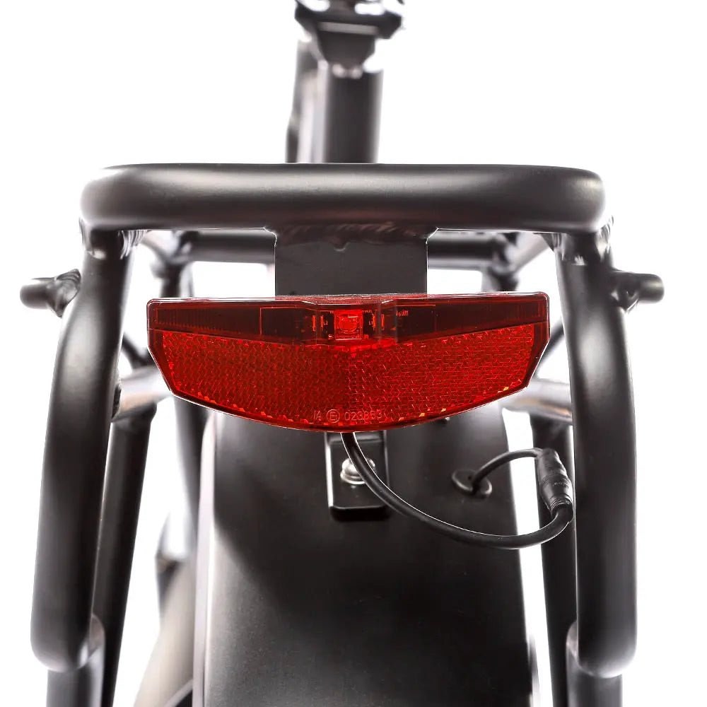 JOBOBIKE Robin Bicicletta Elettrica - ottobest.it