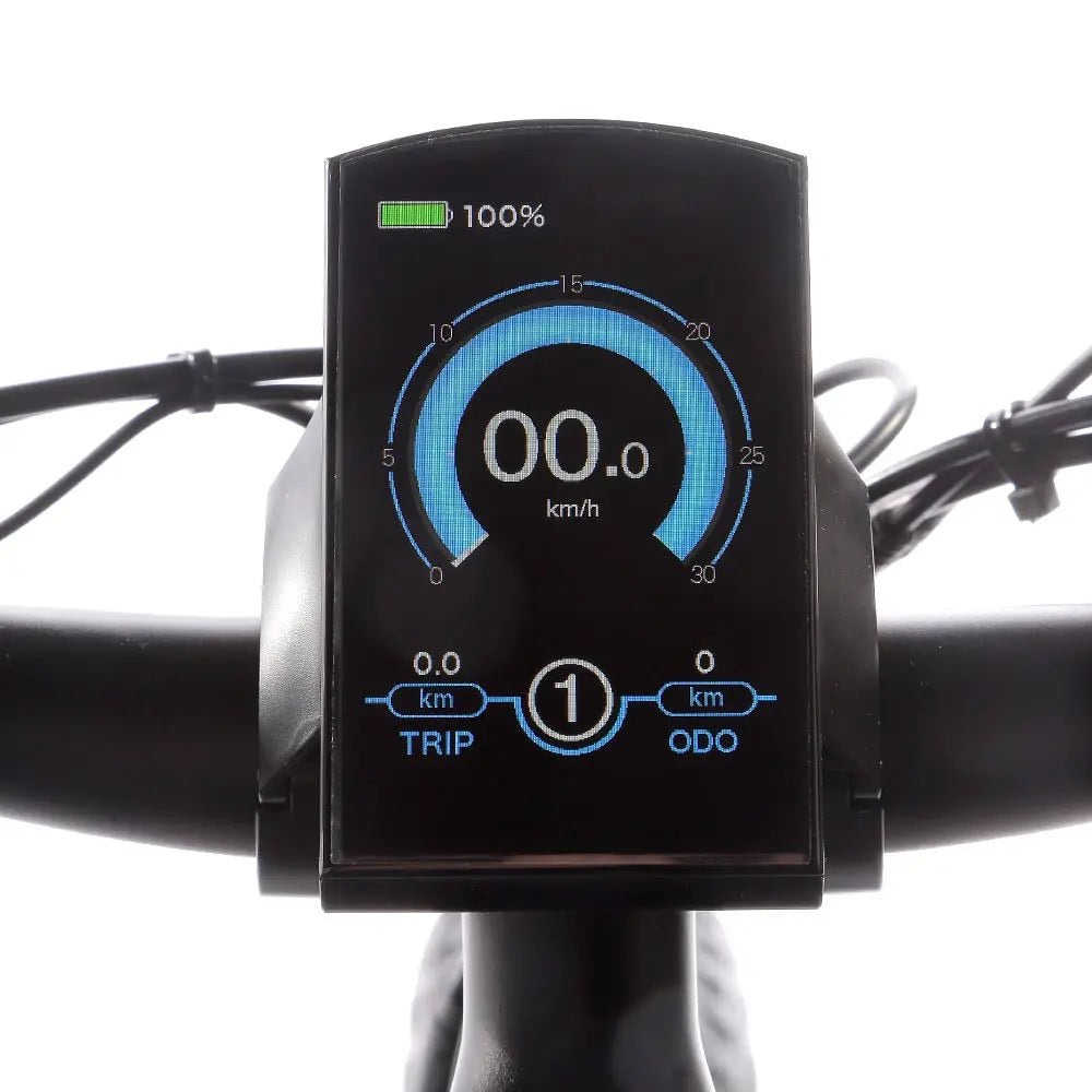 JOBOBIKE Robin Bicicletta Elettrica - ottobest.it