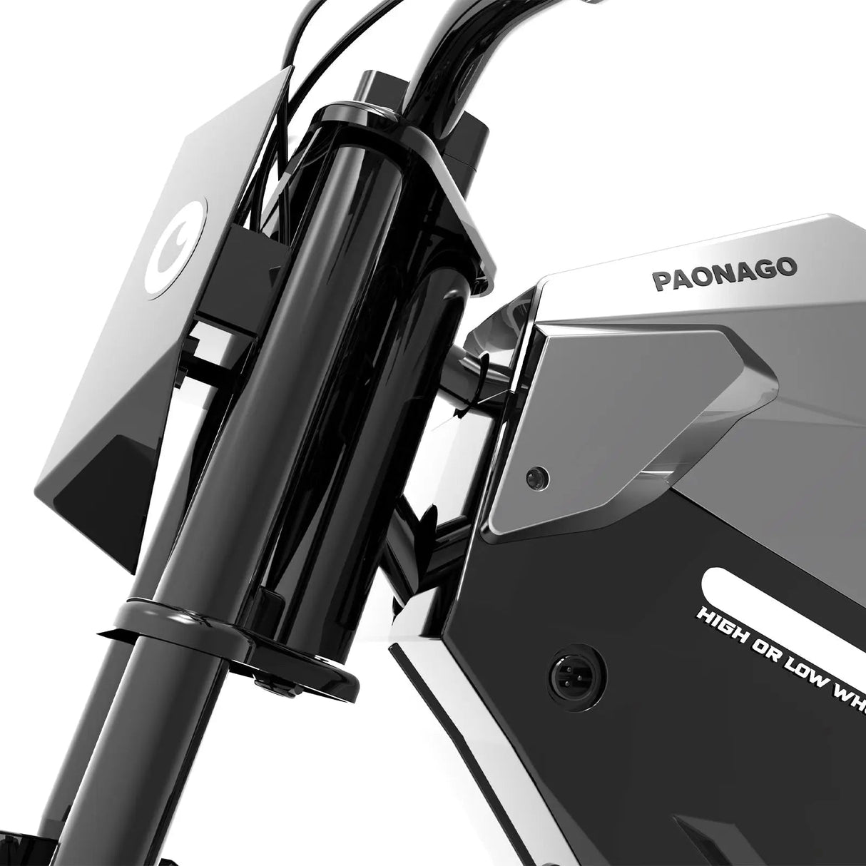 PAONAGO ADV250 Moto elettrica per bambini - ottobest.it