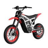 APTUM 2C Moto elettrica
