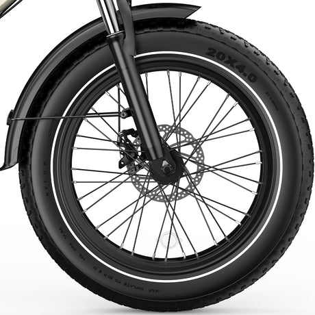 OVIVO C1 MAX Bicicletta elettrica a doppia batteria