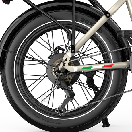 OVIVO C1 MAX Bicicletta elettrica a doppia batteria