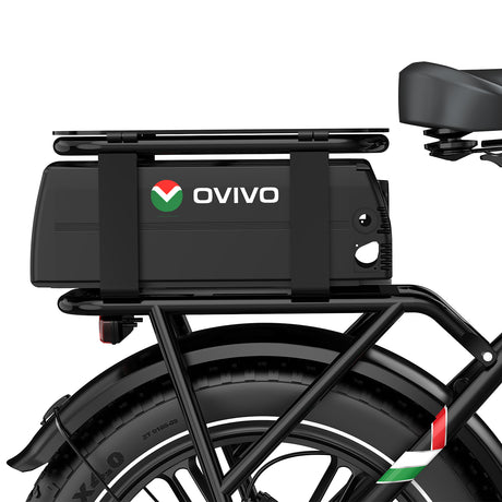 OVIVO V2 2.0 DUAL BATTERY Bicicletta Elettrica