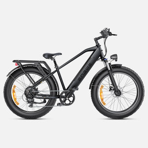 ENGWE E26 Bicicletta Elettrica