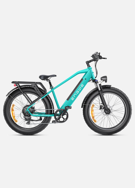 ENGWE E26 Bicicletta Elettrica ENGWE