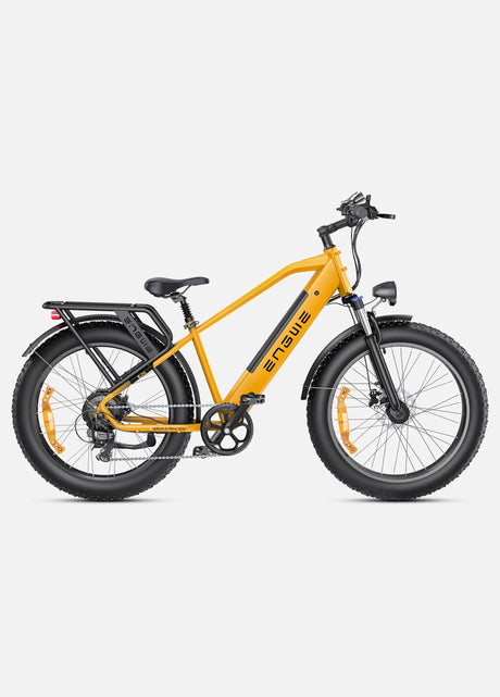 ENGWE E26 Bicicletta Elettrica ENGWE