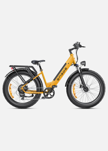 ENGWE E26 Bicicletta Elettrica ENGWE