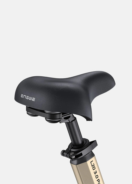 ENGWE L20 3.0 Pro Bicicletta Elettrica(I preordini iniziano il 10 agosto)