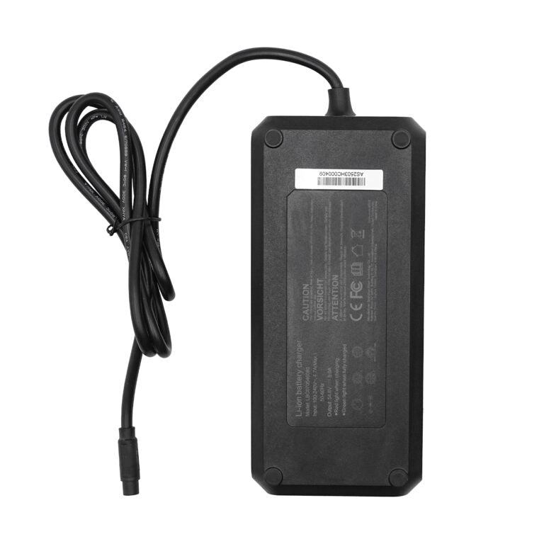 Caricabatterie da 2A per ENGWE EP-2 Boost