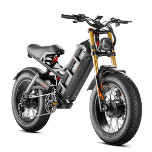 Eahora Romeo II Bicicletta Elettrica