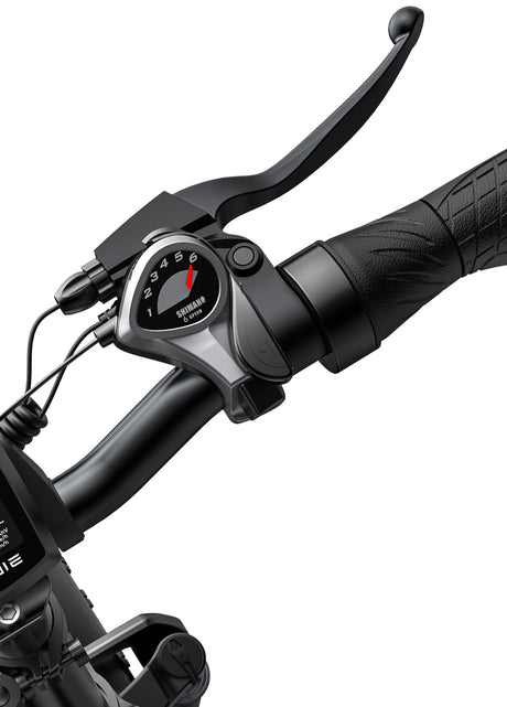 ENGWE EP-2 PRO Bicicletta Elettrica