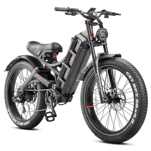 Eahora Romeo Pro Bicicletta Elettrica