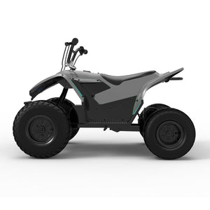 PAONAGO TC-DQ500 Moto Elettrica Bambini 500W
