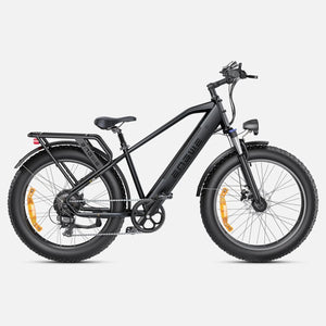 ENGWE E26 Bicicletta Elettrica