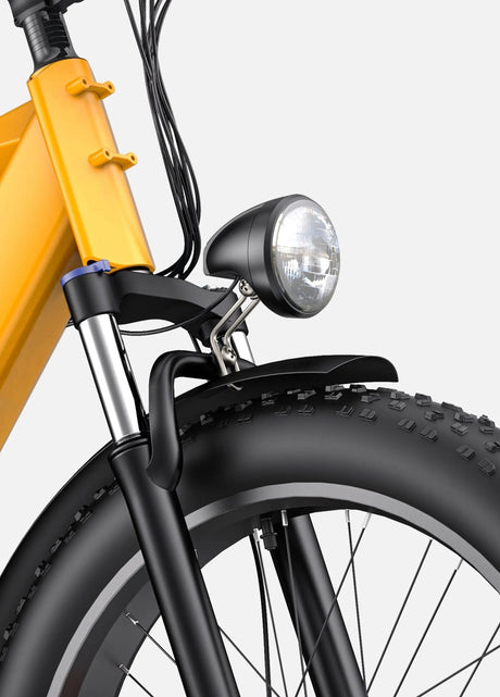 ENGWE E26 Bicicletta Elettrica - ottobest.it