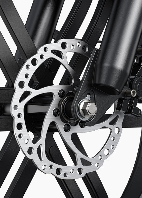 ENGWE L20 Boost Bicicletta Elettrica - ottobest.it