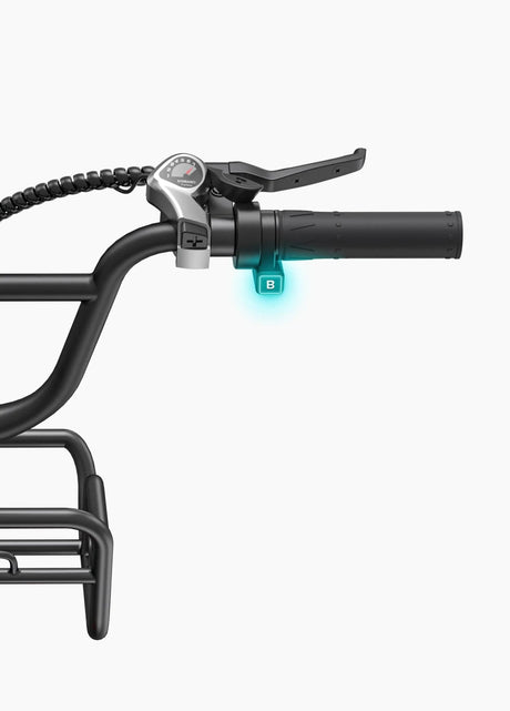 ENGWE L20 Boost Bicicletta Elettrica - ottobest.it
