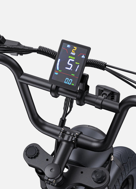 ENGWE M1 Bicicletta Elettrica - ottobest.it