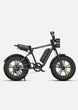 ENGWE M20 Bicicletta Elettrica - ottobest.it