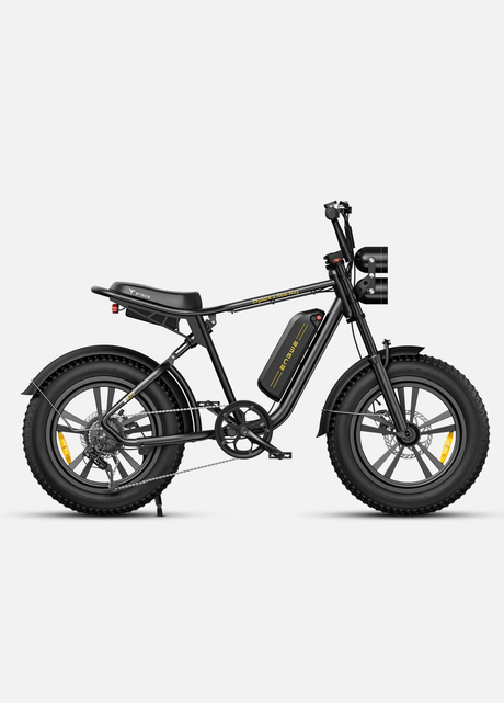 ENGWE M20 Bicicletta Elettrica - ottobest.it