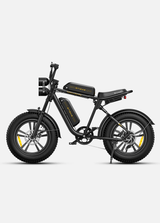 ENGWE M20 Bicicletta Elettrica - ottobest.it