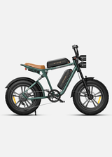 ENGWE M20 Bicicletta Elettrica - ottobest.it