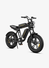 ENGWE M20 Bicicletta Elettrica - ottobest.it