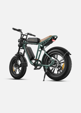 ENGWE M20 Bicicletta Elettrica - ottobest.it