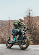 ENGWE M20 Bicicletta Elettrica - ottobest.it