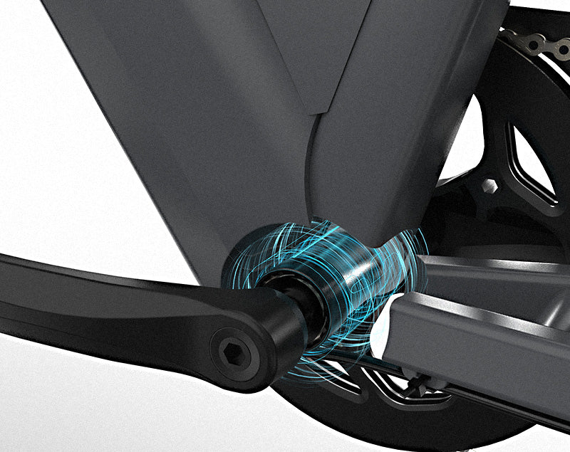 JOBOBIKE Astra Bicicletta Elettrica