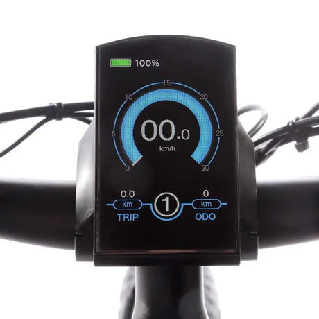 JOBOBIKE Robin Bicicletta Elettrica - ottobest.it