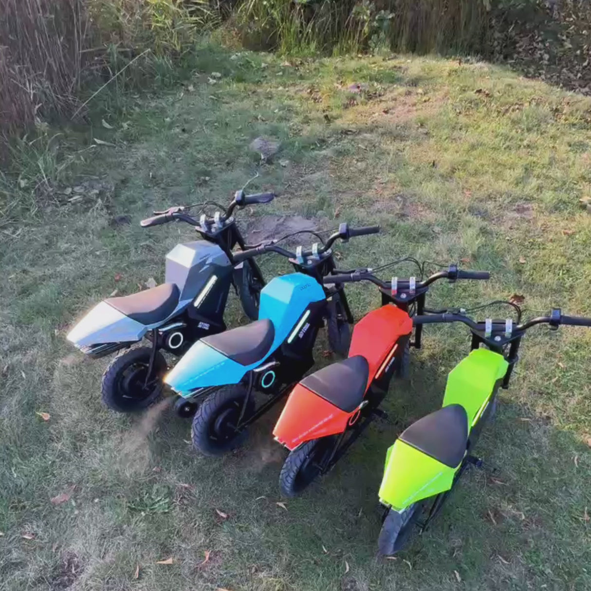 PAONAGO ADV250 Moto elettrica per bambini